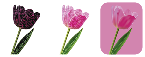color rosa tulipán