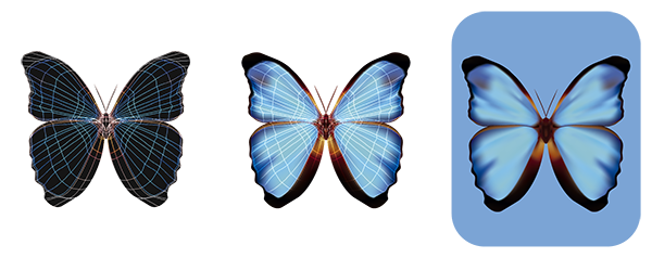 color azul mariposa