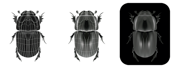color negro escarabajo